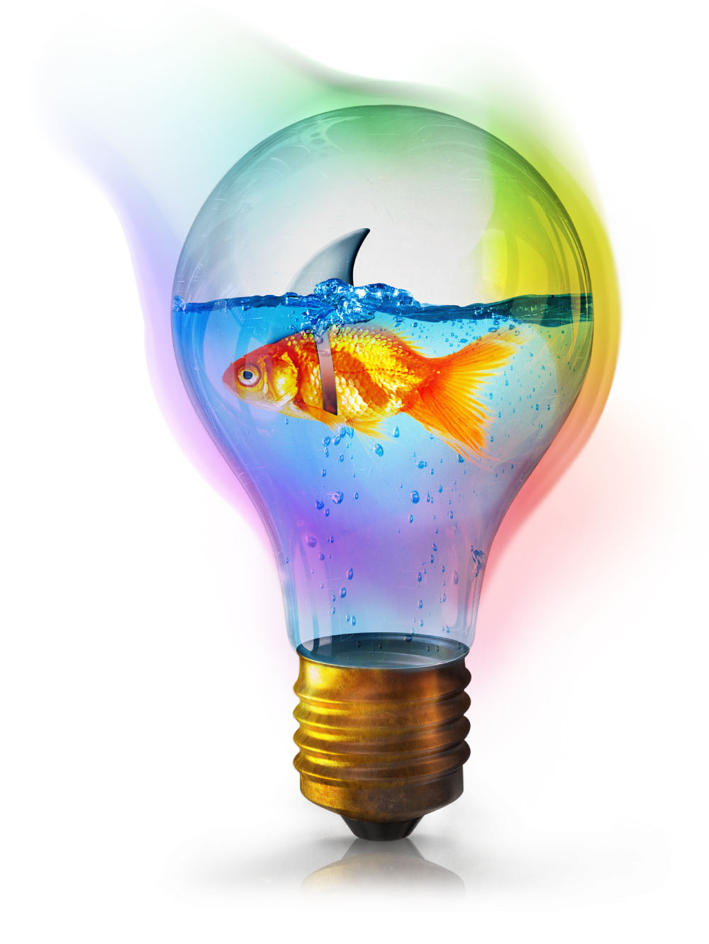 Goldfish in a Lightbulb With a Shark Fin